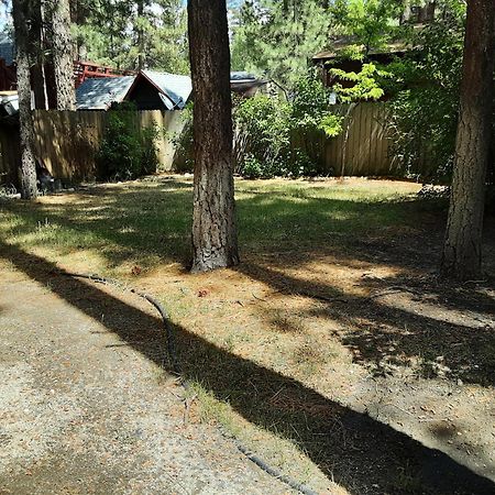 Bearadise - Prime Location For A Family Getaway In The Winter Or Summer بيغ بير المظهر الخارجي الصورة