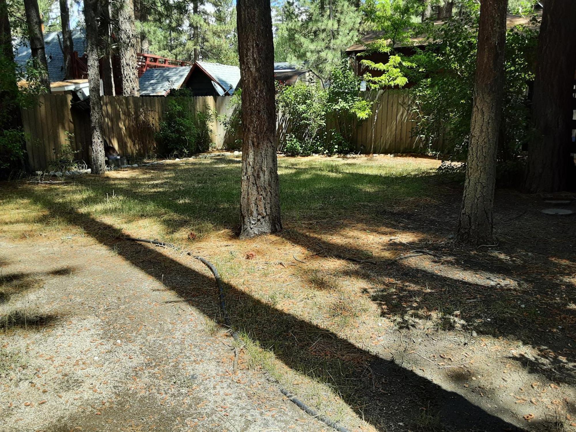 Bearadise - Prime Location For A Family Getaway In The Winter Or Summer بيغ بير المظهر الخارجي الصورة